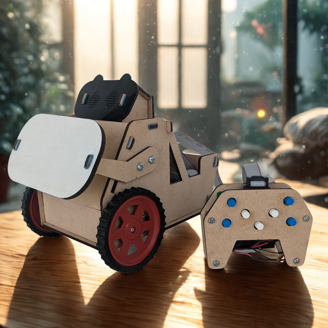 Emotibot - A DIY RC robot that blinks, winks and carries loads!