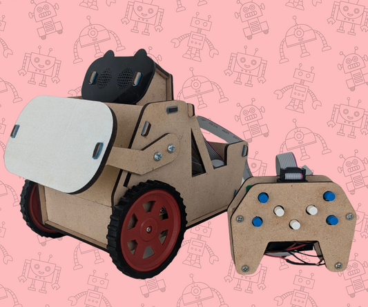 Emotibot - A DIY RC robot that blinks, winks and carries loads!