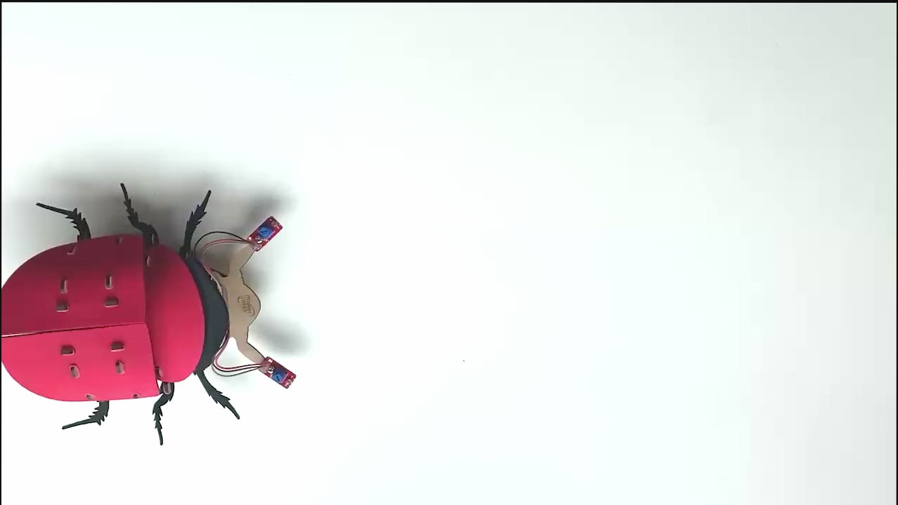 Lumobug | DIY STEM Kit | 8+ yrs | Fun with Bio-Inspired Robotics